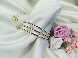 ÇELİK AJDA ÜÇ RENK BİLEZİK